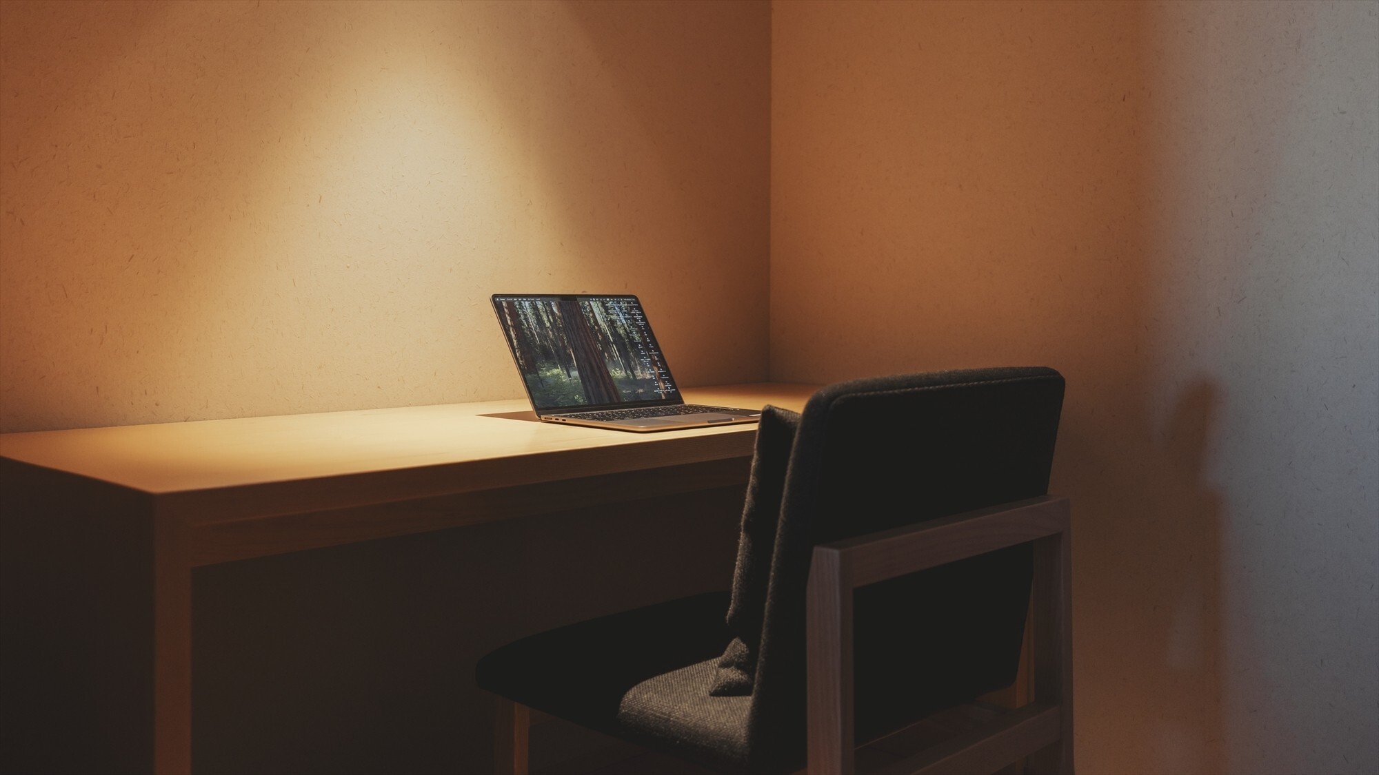 【プレミアムスイート】62㎡／ベッド幅1,200mm+ソファベッド　落ち着く空間でデスクワークを。