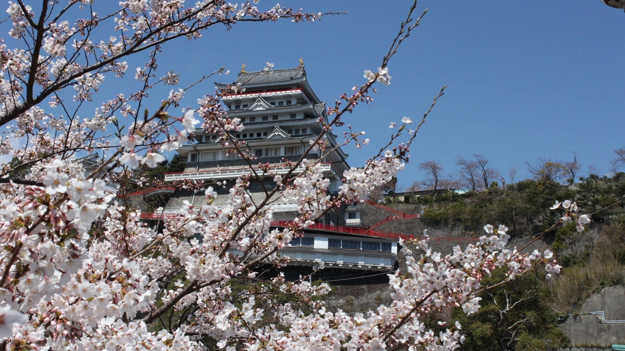 【周辺／熱海城】春には熱海城と桜の美しいコラボレーションをご覧いただけます。