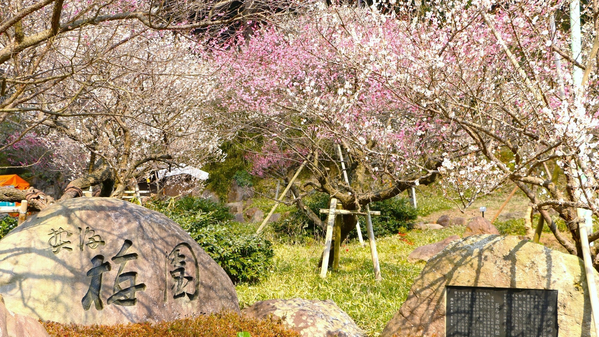 【周辺／熱海梅園】園内では梅、桜、新緑、紅葉と四季折々の自然を存分に感じていただけます。