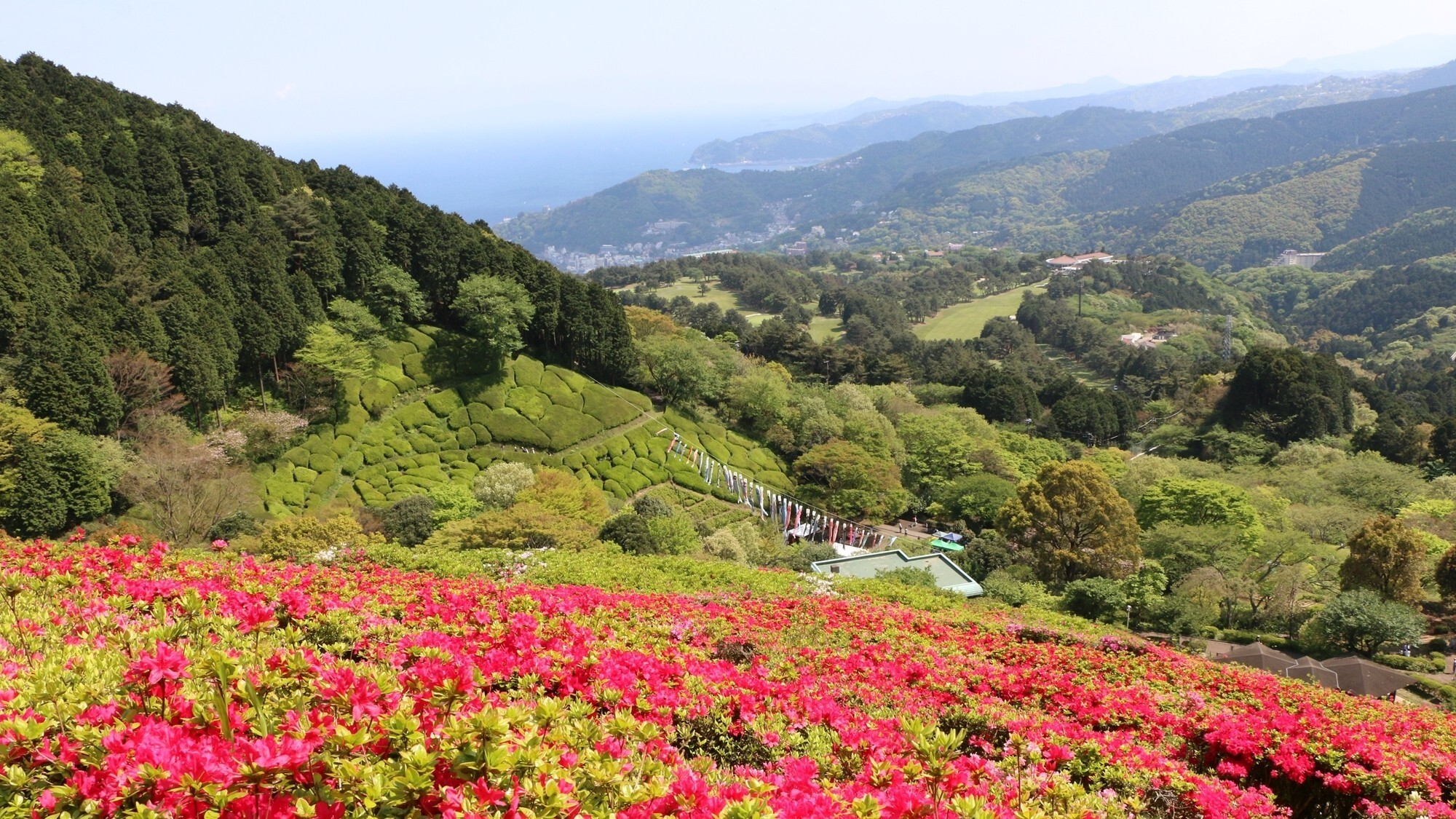 【周辺／姫の沢公園】山の斜面を利用した自然豊かな公園で四季をお楽しみいただけます。