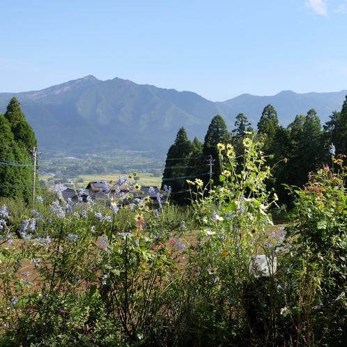 阿蘇五岳のうち正面に見えるのは中岳です。