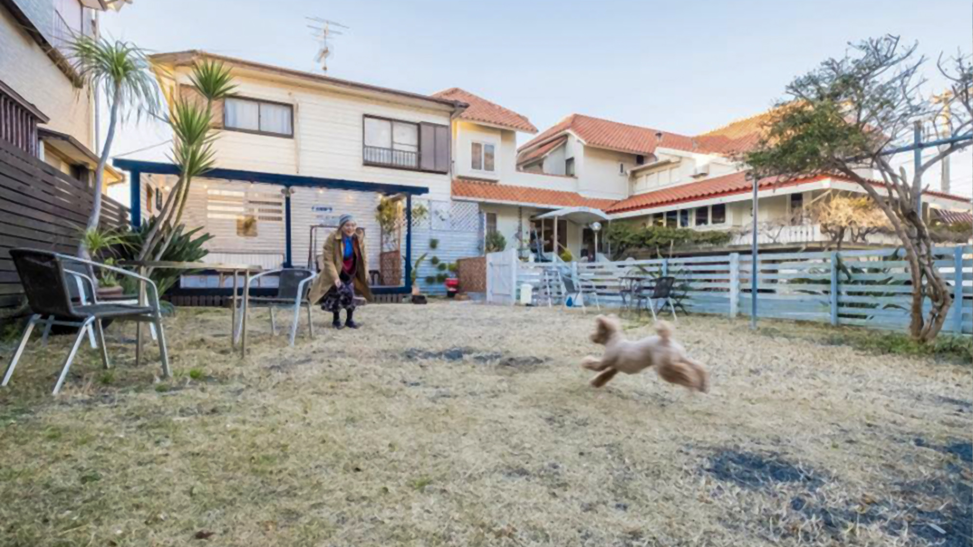 【ドッグラン】宿に併設された広さ70坪のドッグラン　屋根付きの大きなウッドデッキあり