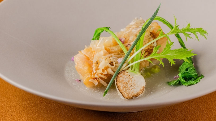 MUNI Inclusive Collection