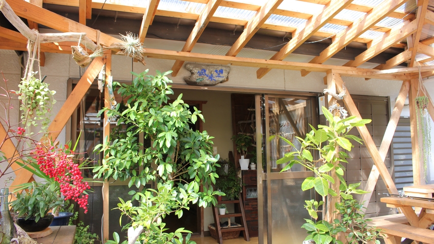 【玄関】ビニールカーテンの奥、植物に囲まれたこちらが当館の玄関口です。