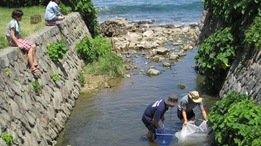 【周辺】施設横の川で川遊びも可能です。川に棲む生き物探しであっという間に時間が過ぎます♪