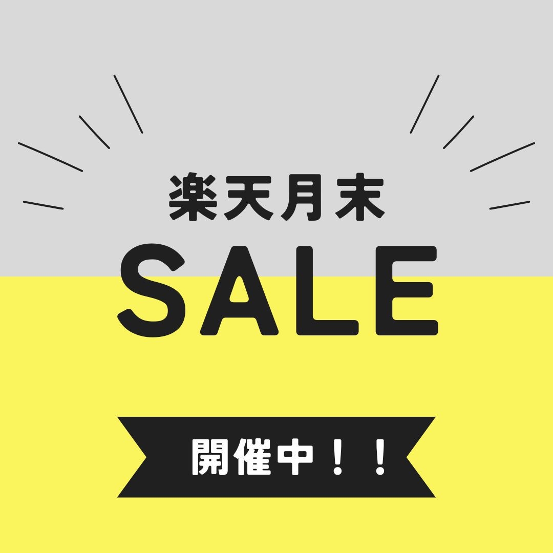 【楽天月末セール】期間限定！ビジネス・観光にオススメ！｜朝食付