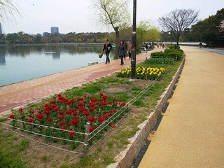 大濠公園