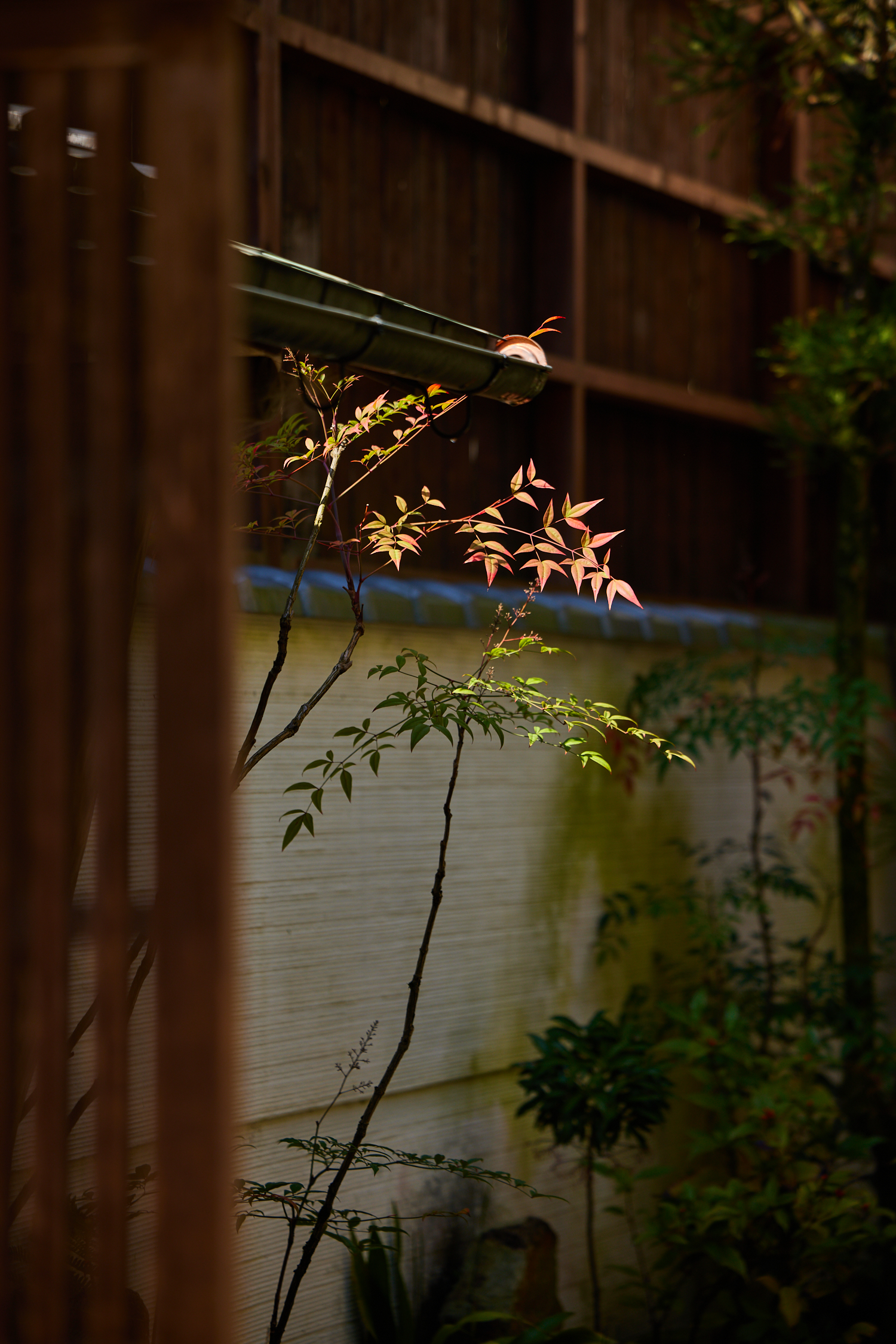 【東山】寧々101（61㎡）