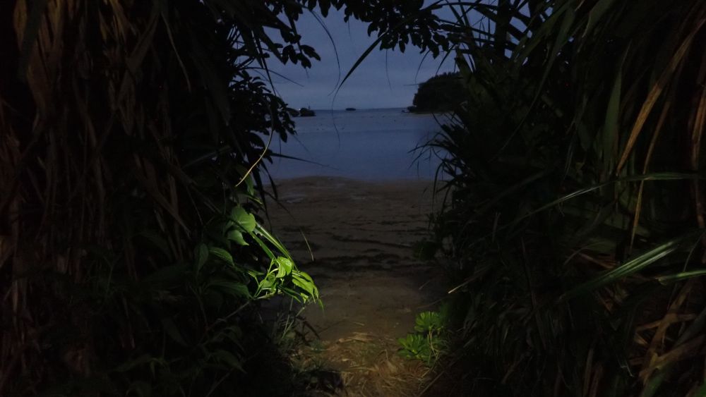 名物オーナーガイドと一緒に行く夜の海浜観察会！
