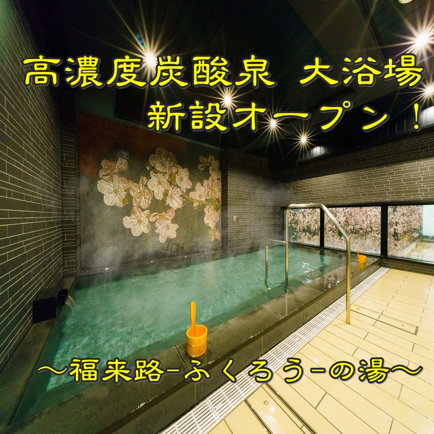 Swby 6oylcm Swby 6oylcm