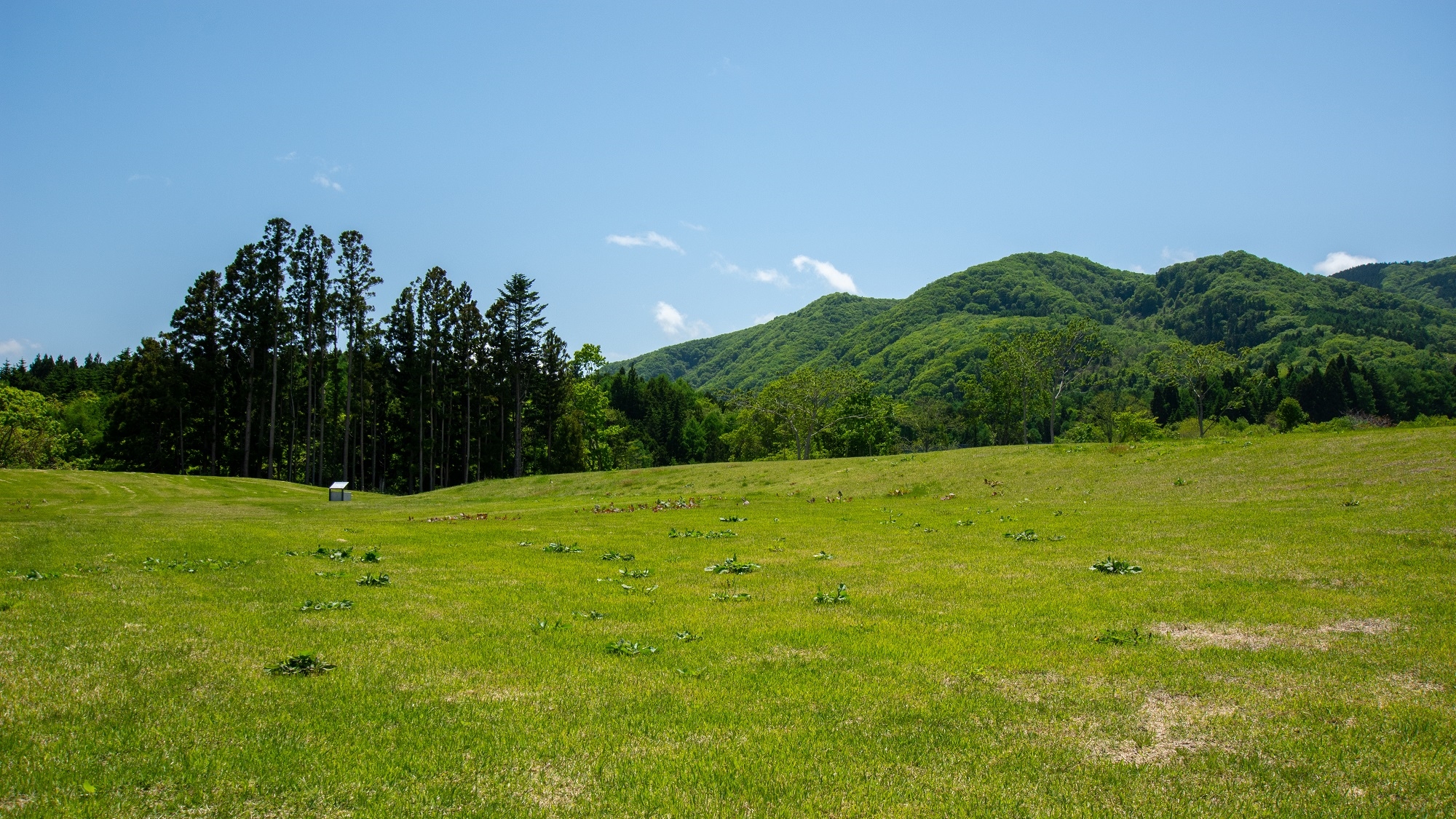 垣ノ島遺跡