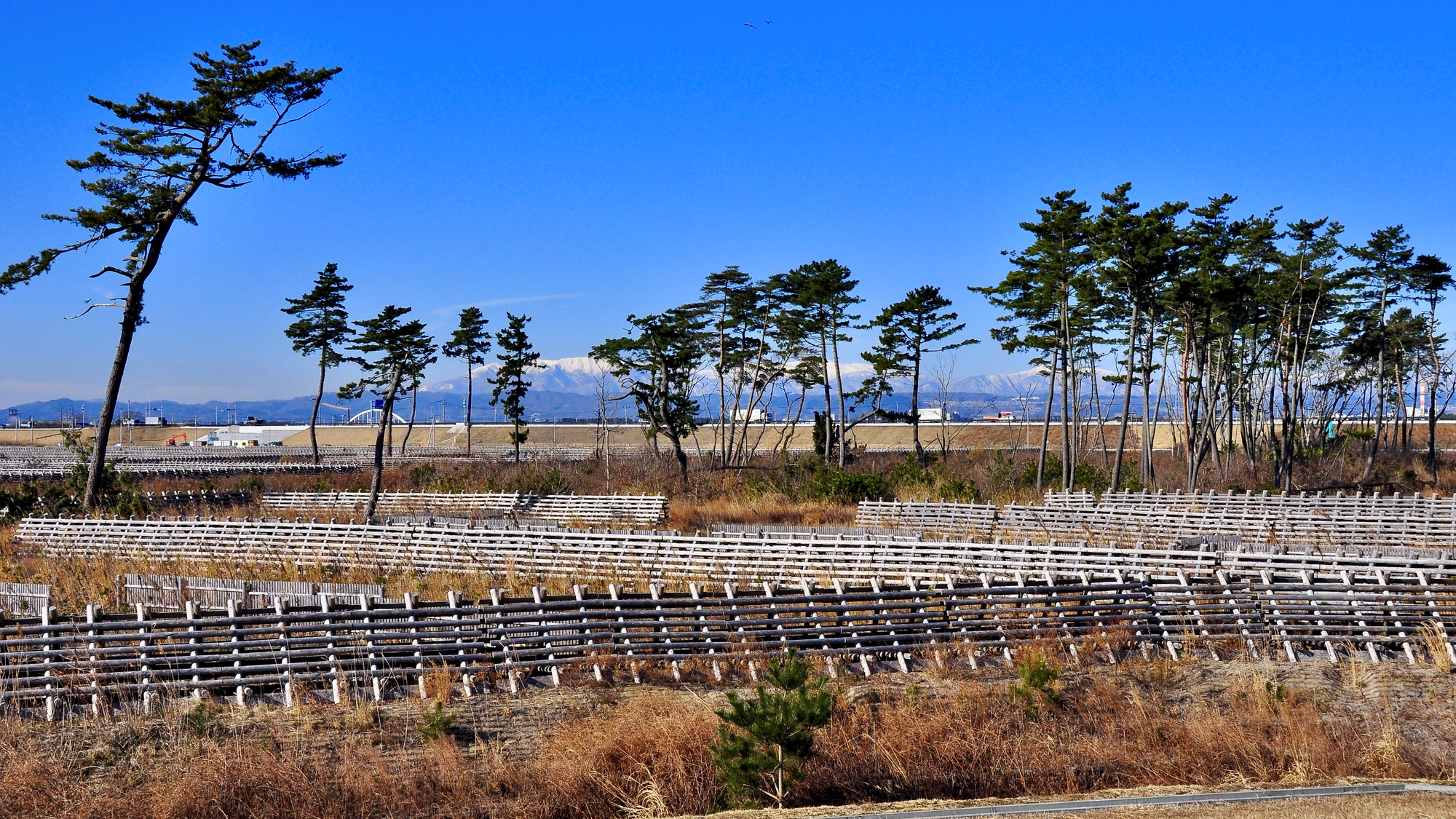 【当館から車で約15分】貞山運河