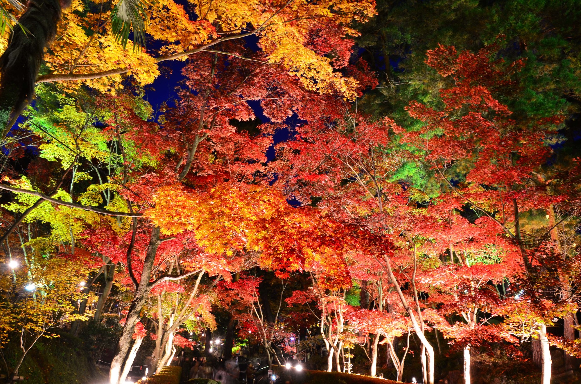 松雲山荘　紅葉