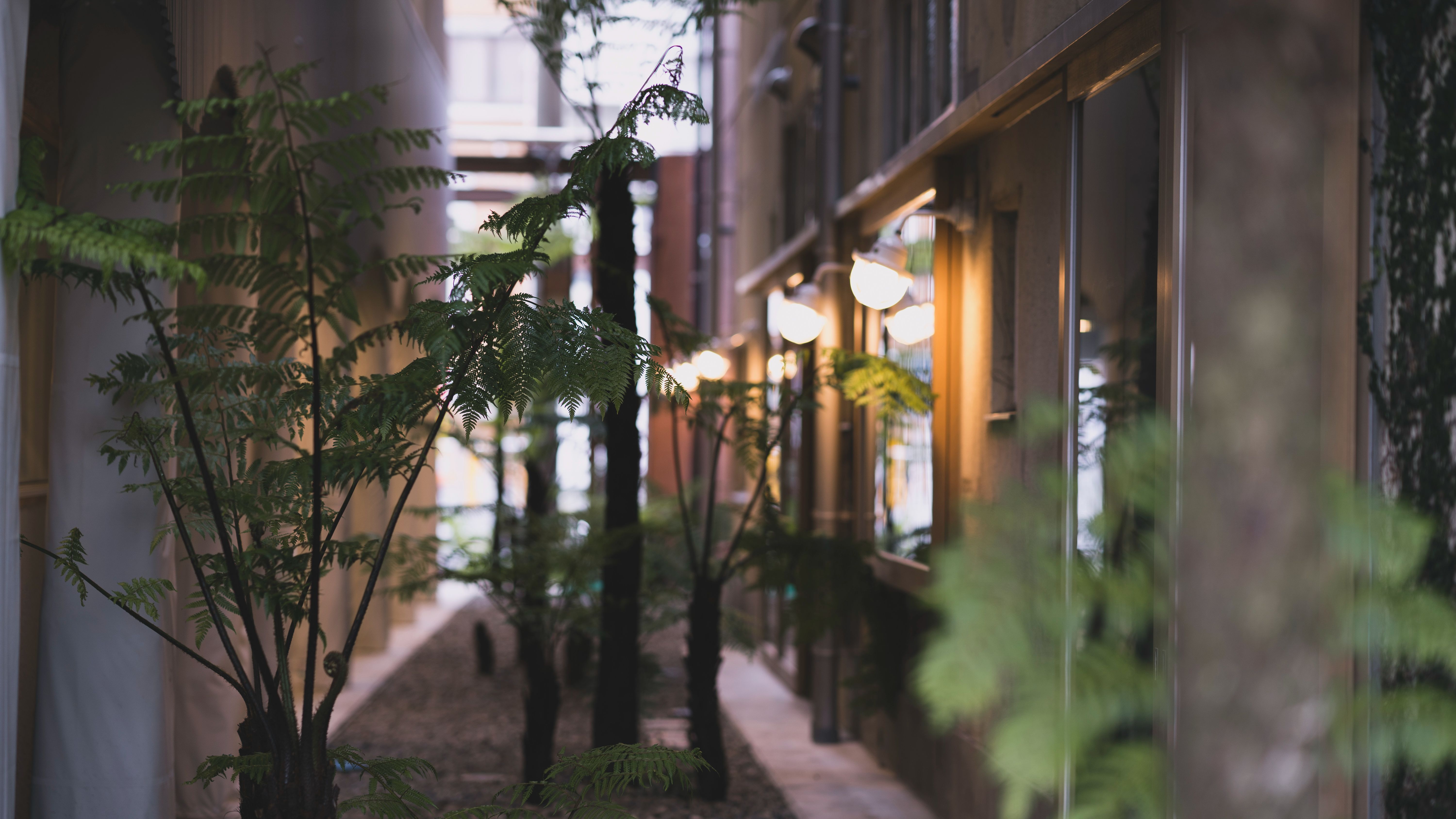 【中庭】非日常を感じるフォトジェニックな中庭