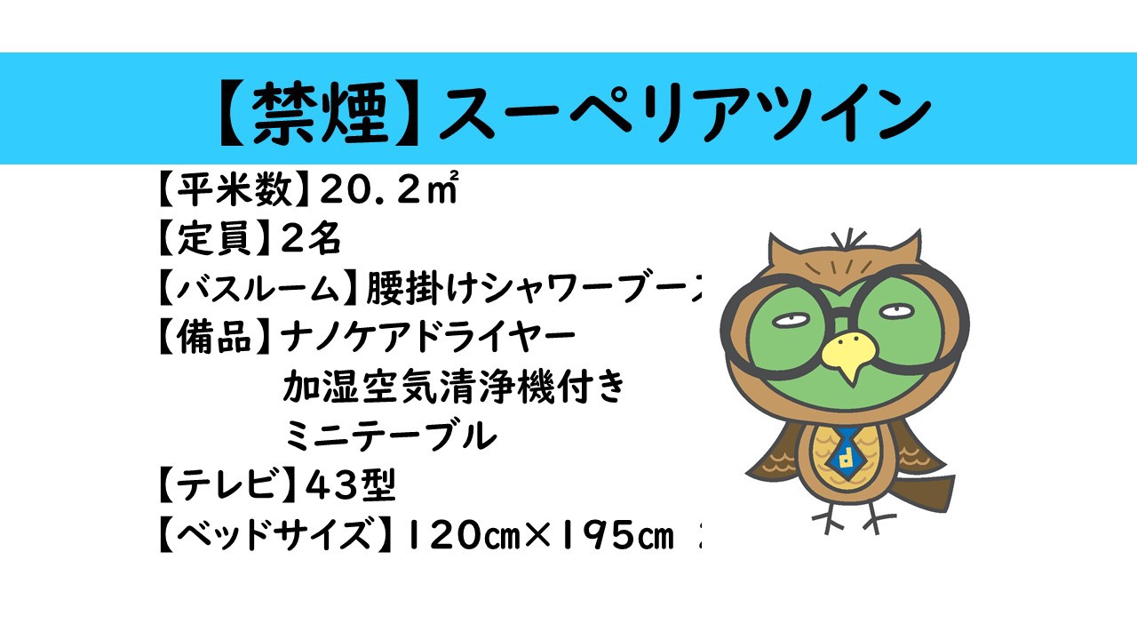 スーペリアツインルーム概要