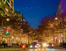 hotel omotesando stories 格安予約 宿泊プラン料金比較 トラベルコ