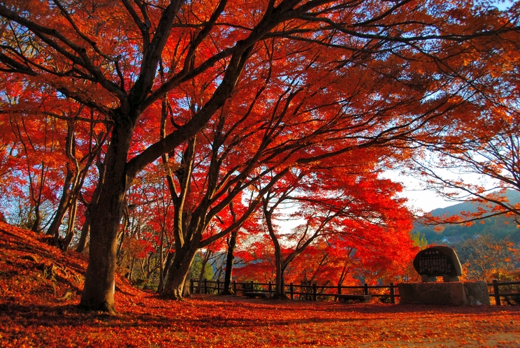 尾関山公園　紅葉