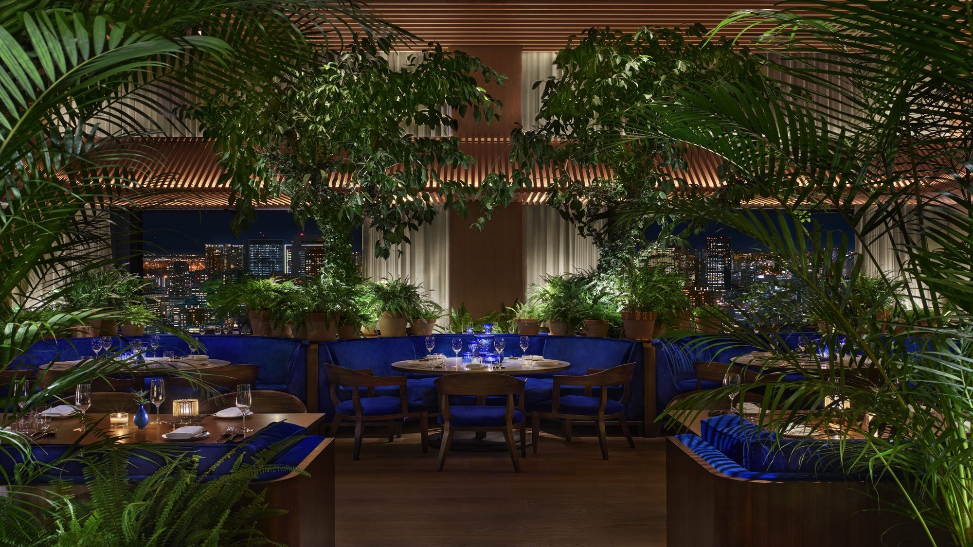【旬を味わうディナーコース】高層階レストラン「The Blue Room」にて味わう贅沢ディナー