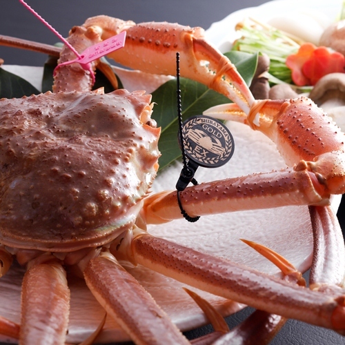 有馬温泉　橋乃家別館　嵐翠 - 写真 95