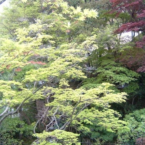有馬温泉　橋乃家別館　嵐翠 - 写真 114