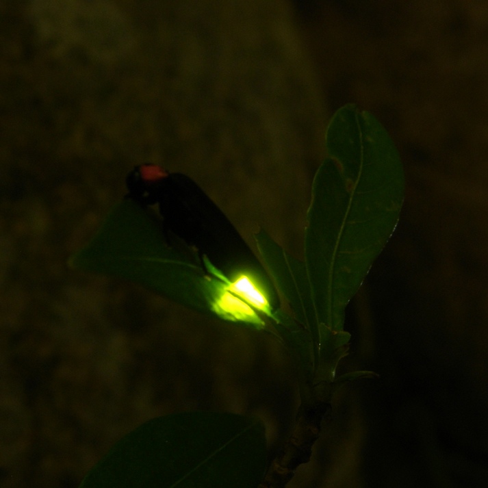 有馬温泉　橋乃家別館　嵐翠 - 写真 115