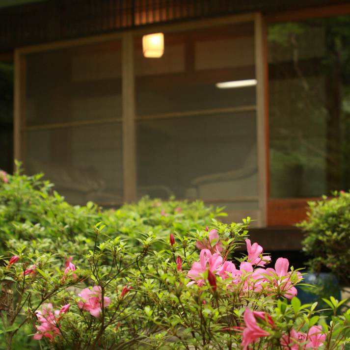 สวนห้องพัก①