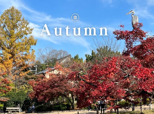 Autumn Plan !!（ 連泊割引 ）