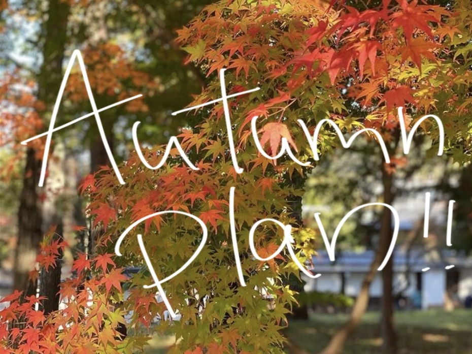 Autumn Plan !!（ 連泊割引 ）