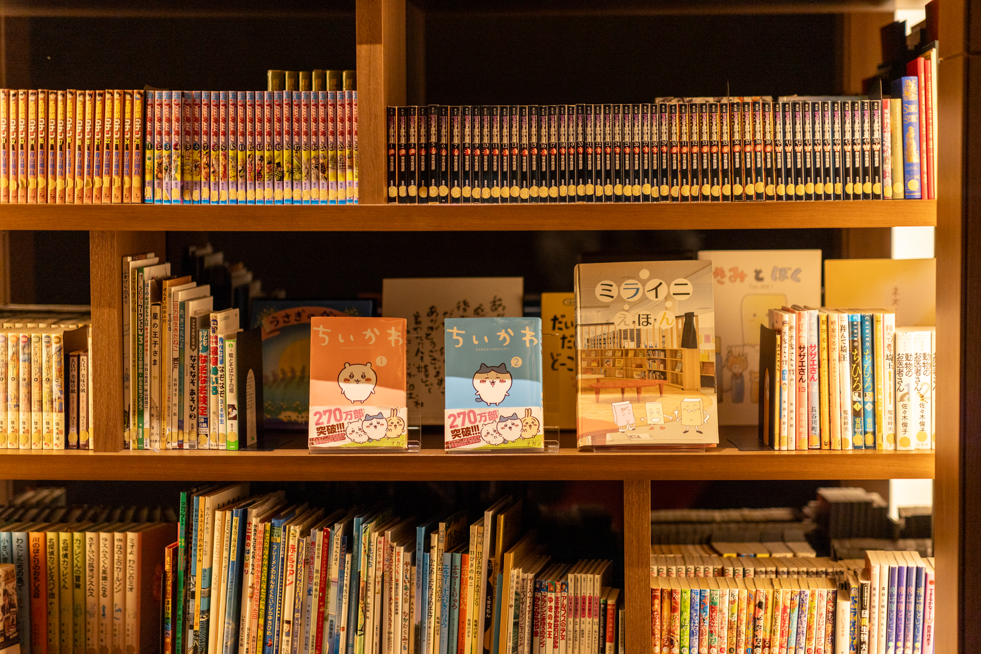 お部屋でも読めるロビーライブラリー