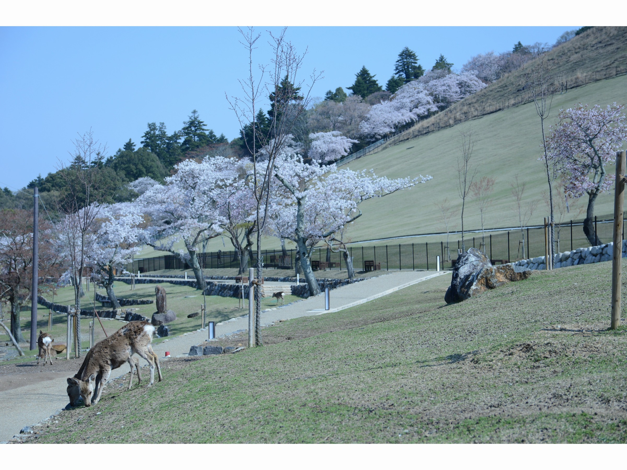 Mountain Home Lodge　周辺