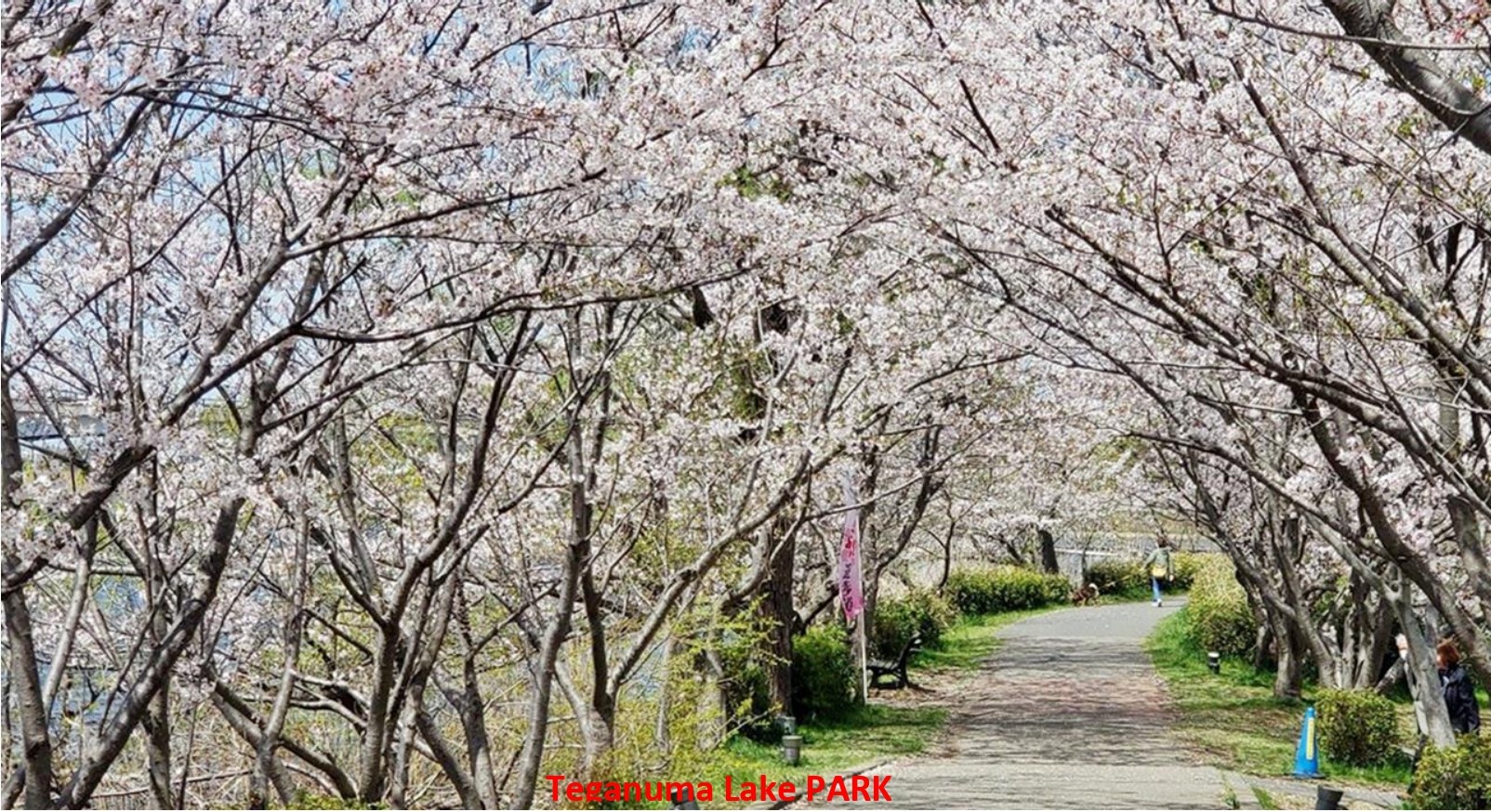 手賀沼公園