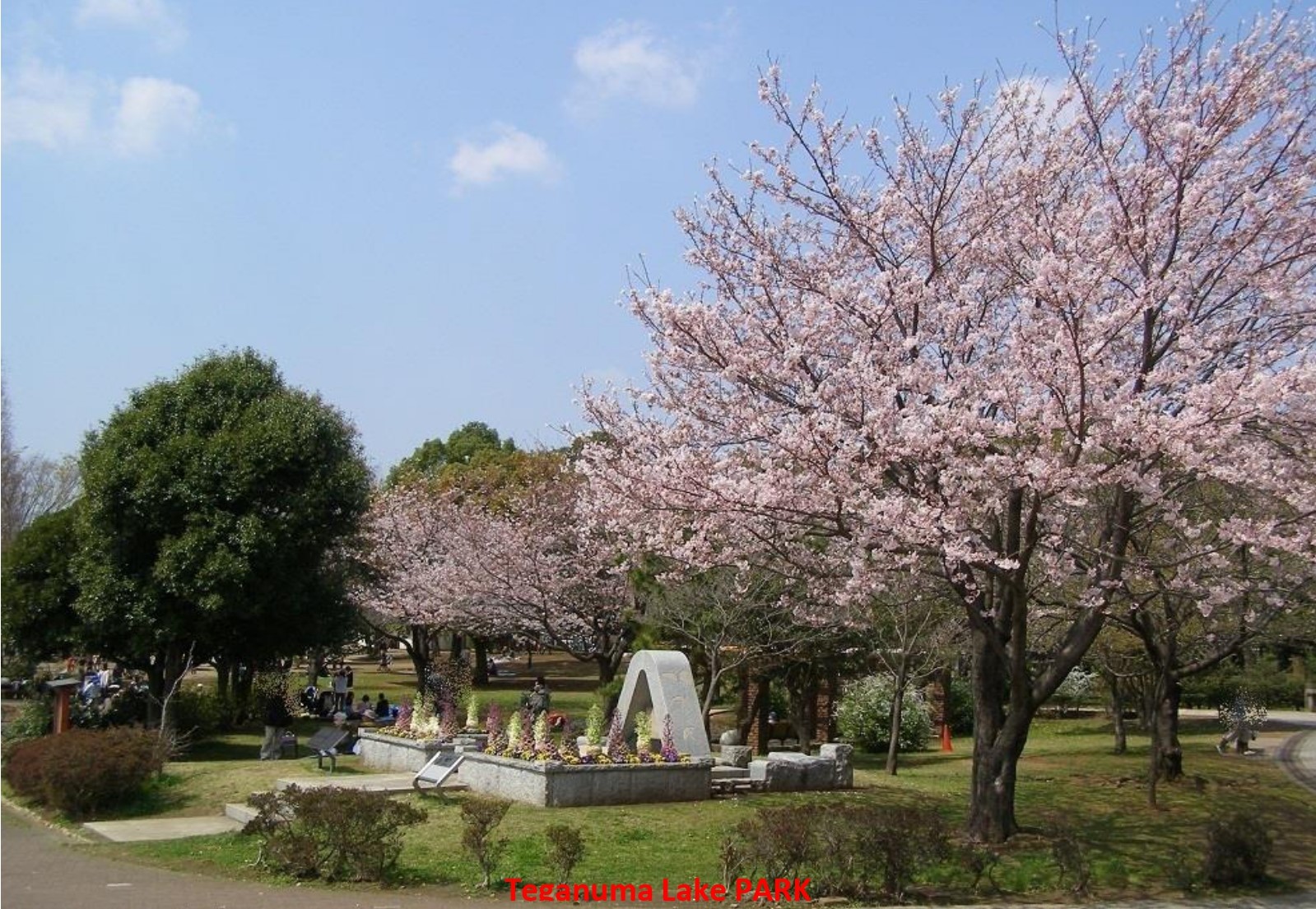 手賀沼公園