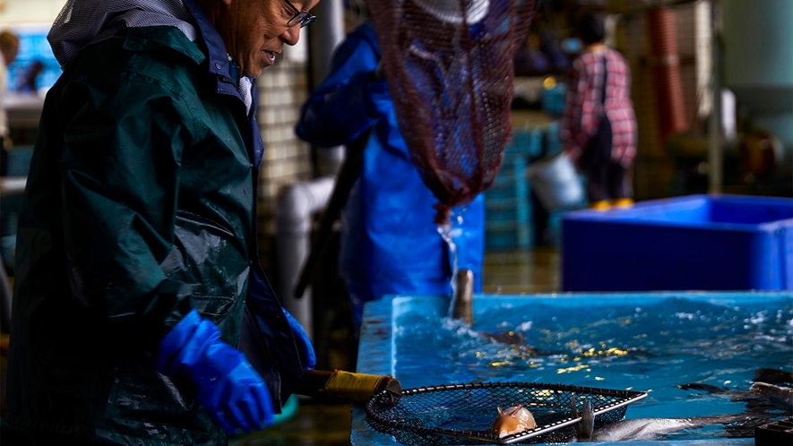 ・市場の生け簀には元気な魚でいっぱいです