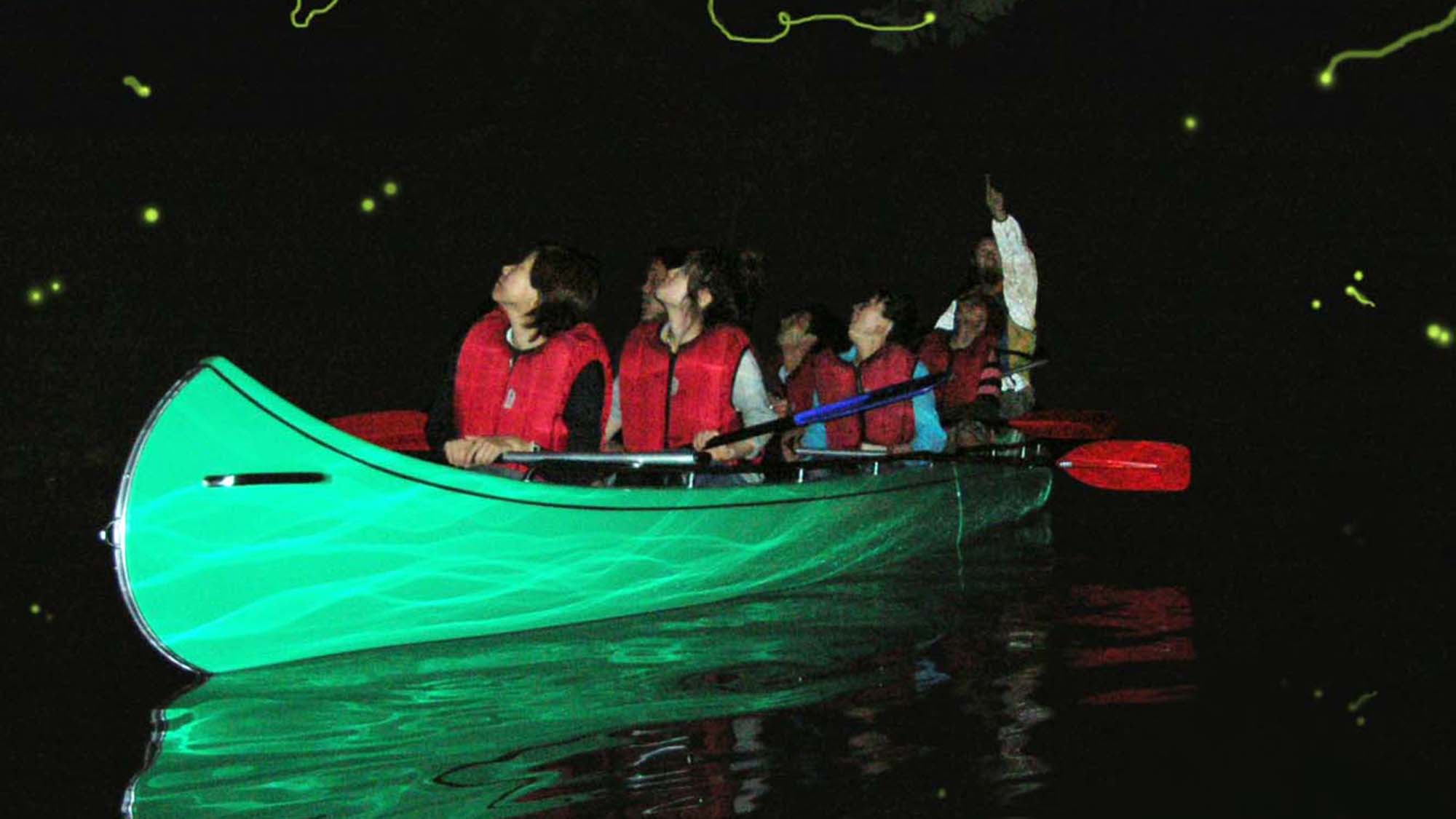 ・白馬　夏のアクティビティ　湖上蛍ツアー