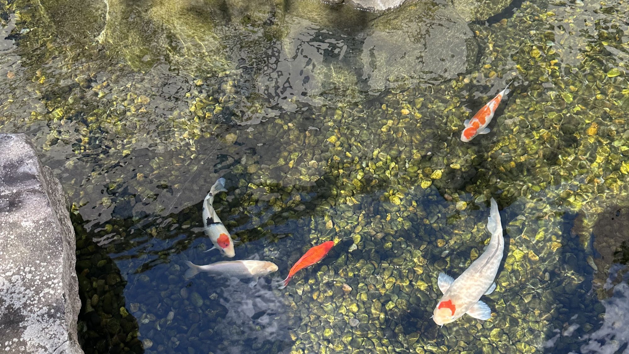 【館外】ロビーの向こうには池が広がり、四季折々の自然が感じられます。