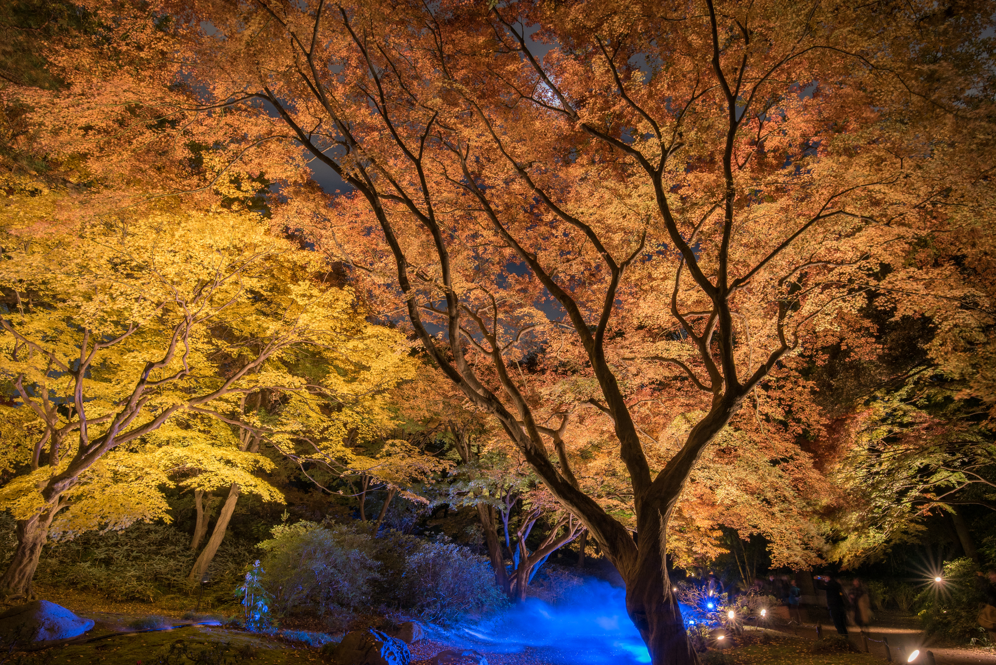 六義園