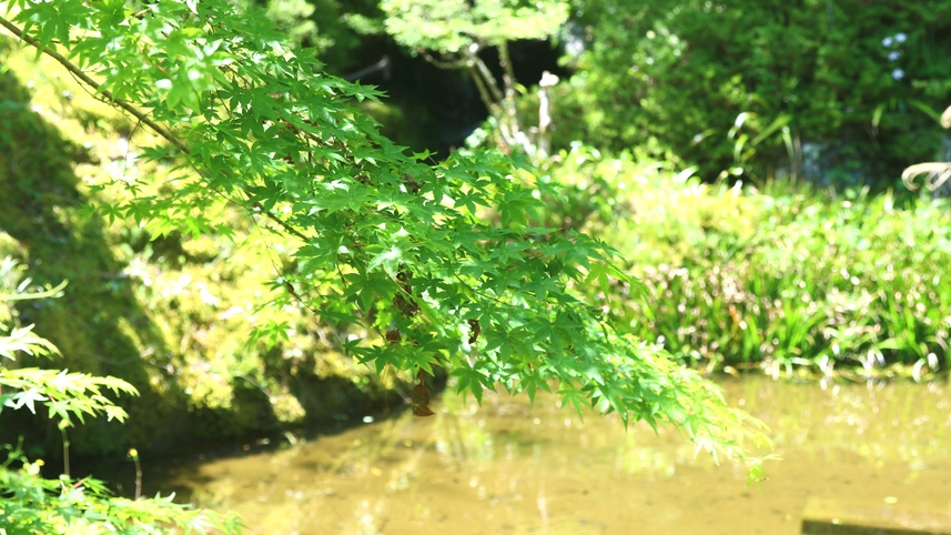 【素泊まり】四季で移り変わる自然◆富沢ICから車で7分！古代大岩風呂で湯ったり過ごす♪