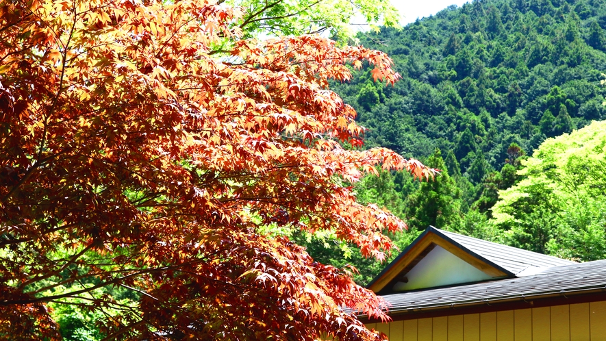 四季で移り変わる景色を楽しむ