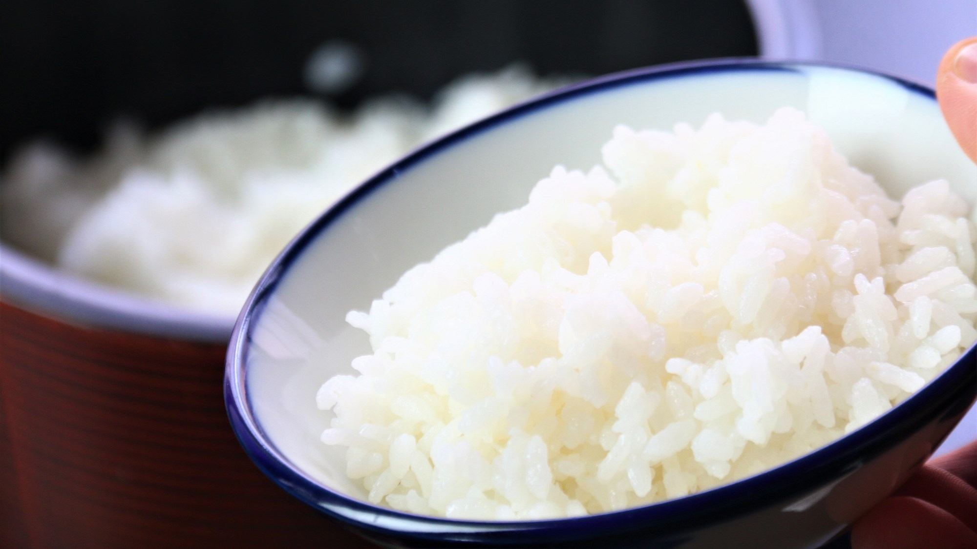 【朝食】米はりんどうの自家製。甘味たっぷりでホッカホカ。おかわり自由ですよ！