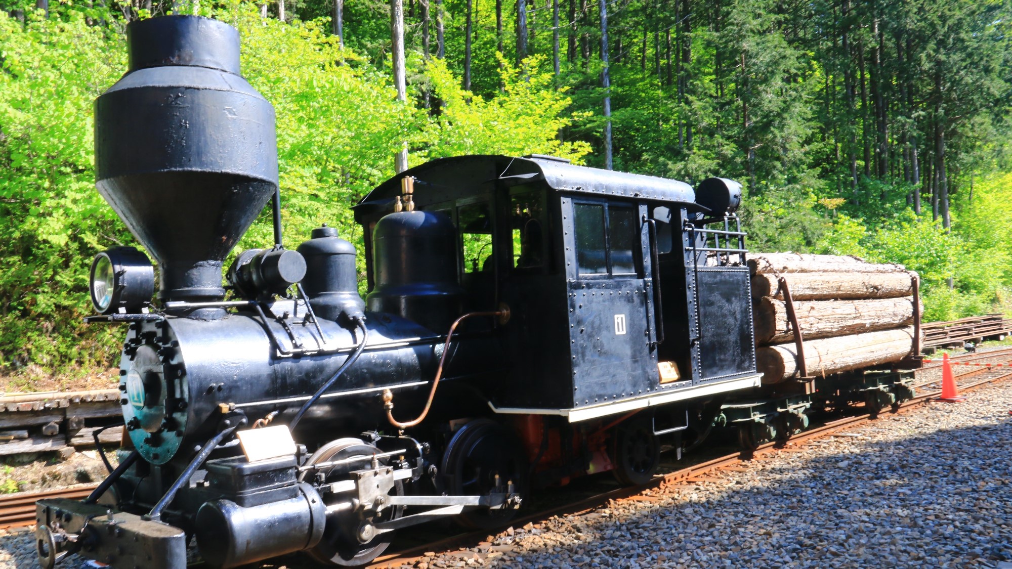 【周辺】グリーンシーズンの森林鉄道は大人気、赤沢自然休養林は車で70分。