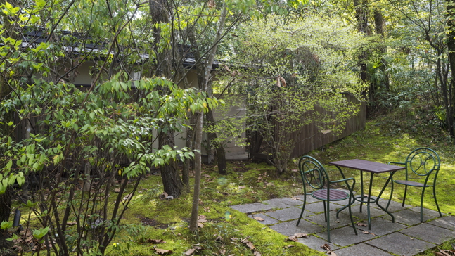 離れ|温泉内湯・中庭テラス付 和洋室「ひわ」