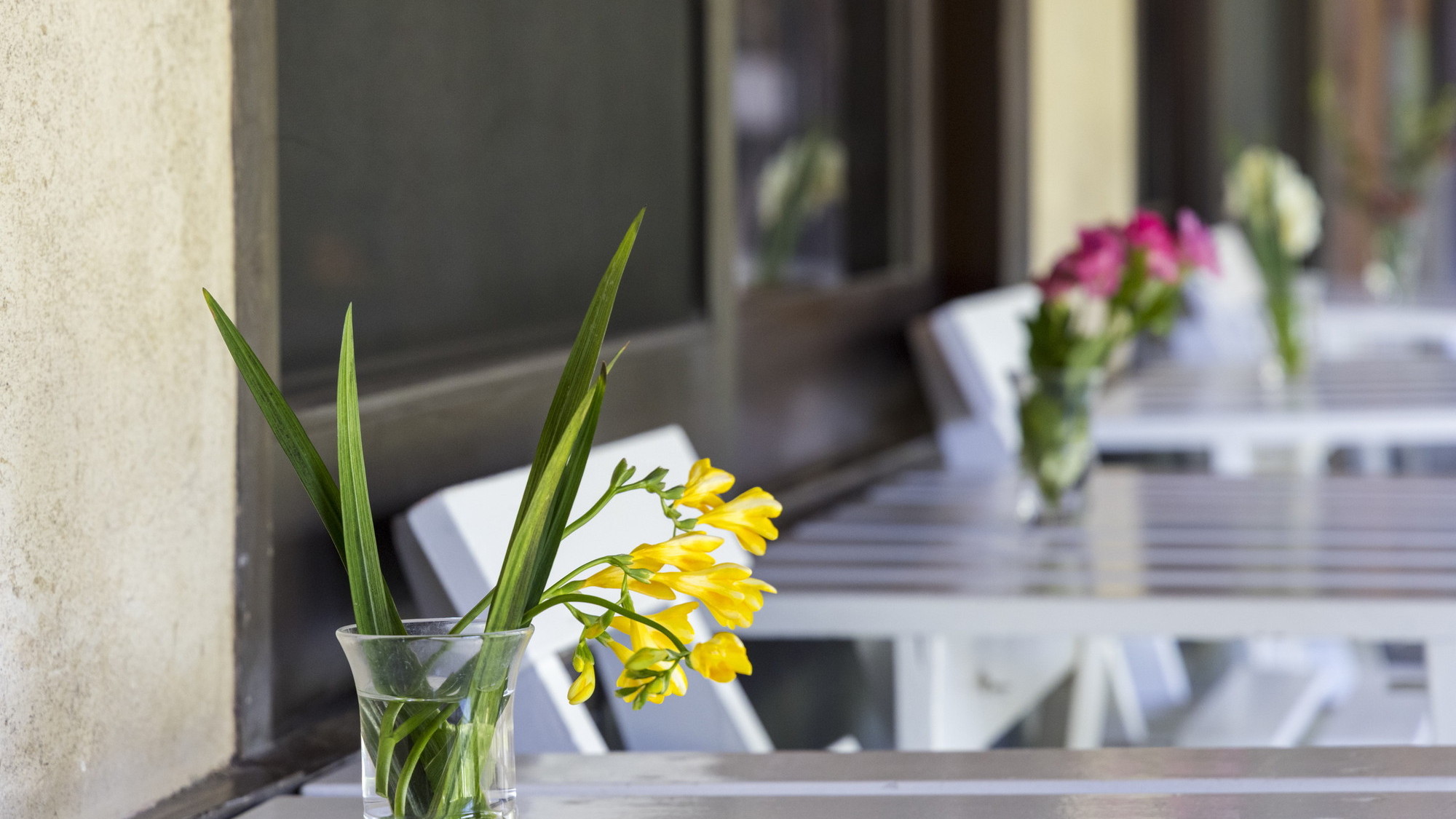 館内／イメージ