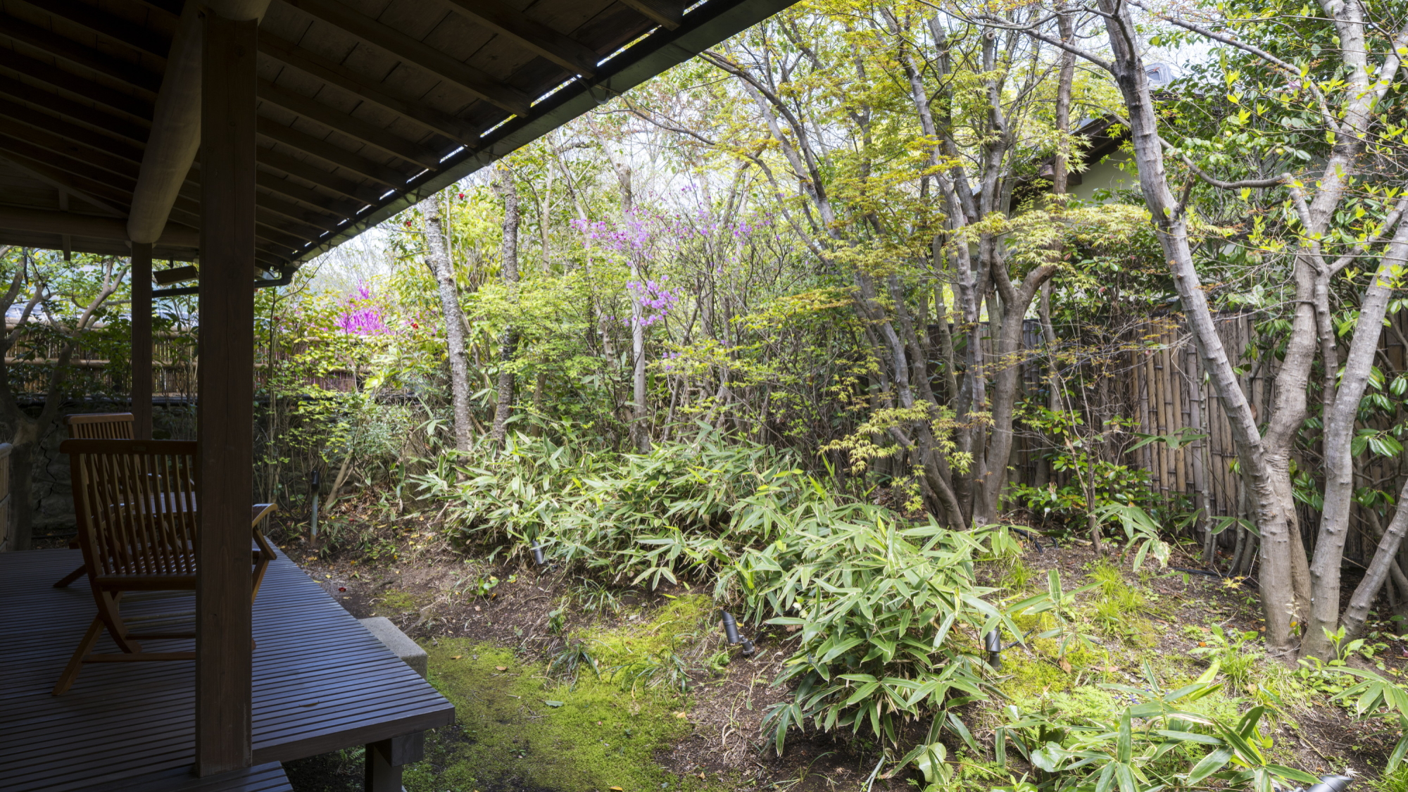 離れ｜温泉内湯・中庭テラス付 和洋室「桜」