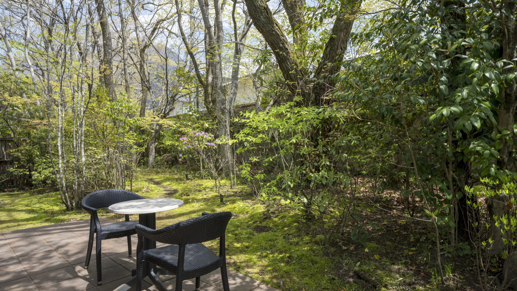 離れ｜温泉内湯・中庭テラス付 和洋室「あさぎ」