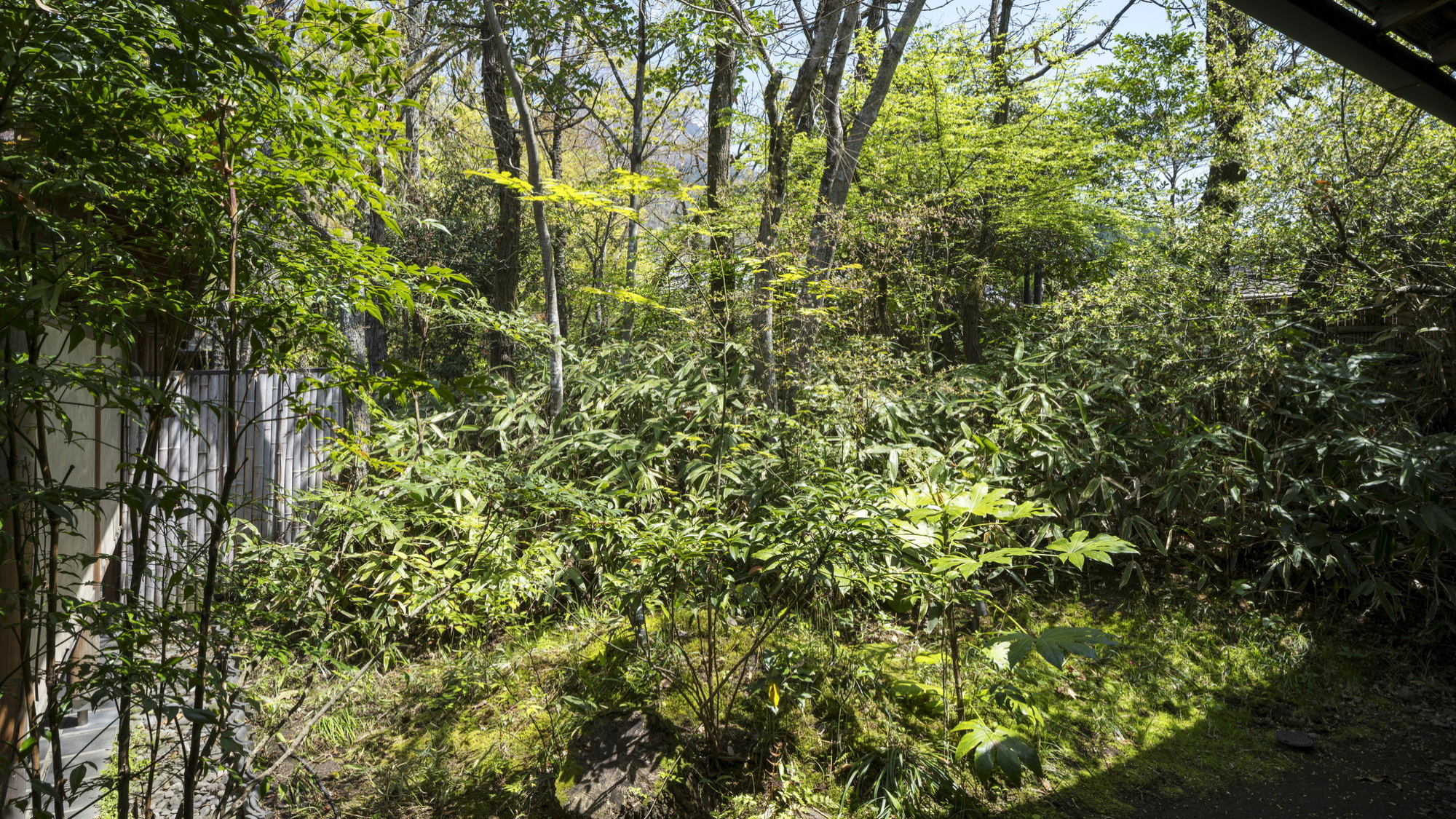 離れ｜温泉内湯・中庭テラス付 和洋室「柑子」