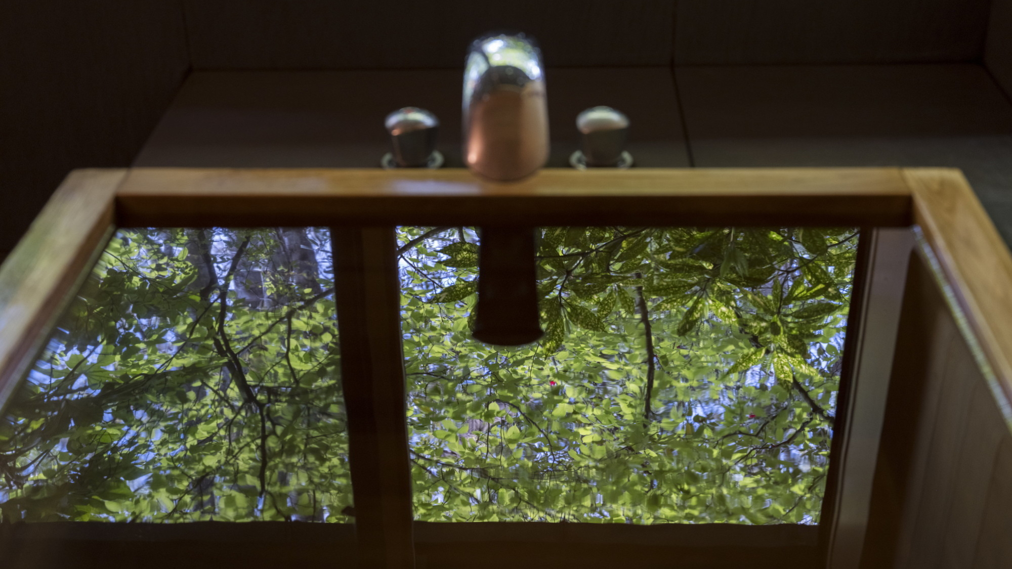 離れ｜温泉内湯・中庭テラス付 和洋室「あかね」