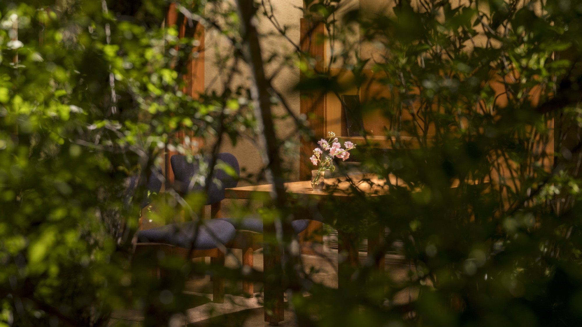 館内／イメージ