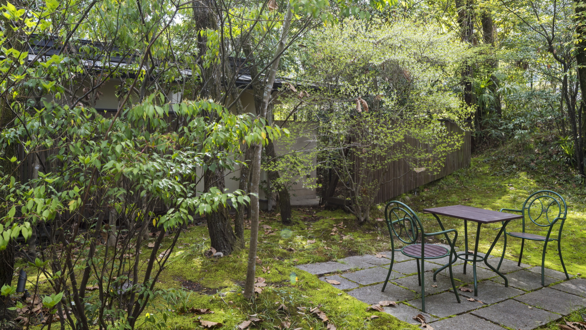 離れ｜温泉内湯・中庭テラス付 和洋室「ひわ」