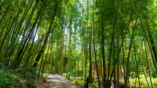 【極上会席／2食付】食の極みがここに。海の幸、山の幸、至高の美味を心ゆくまで愉しむ