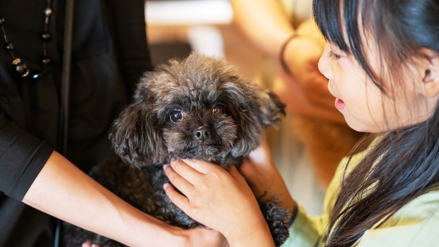 【愛犬と休日】離れだから気兼ねなく。家族水入らずで過ごすプライベートな滞在